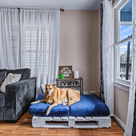 The Blue Oasis With Handicap Ramp Access Dog Friendly & Cowboy Pool Galveston Dış mekan fotoğraf