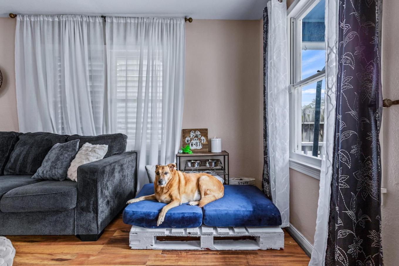 The Blue Oasis With Handicap Ramp Access Dog Friendly & Cowboy Pool Galveston Dış mekan fotoğraf